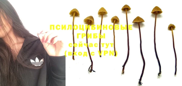 кокаин премиум Майский