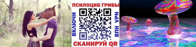 Галлюциногенные грибы Psilocybe  Купить закладки  Яхрома 